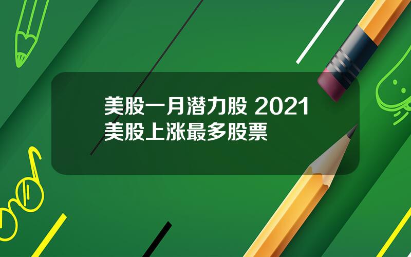 美股一月潜力股 2021美股上涨最多股票